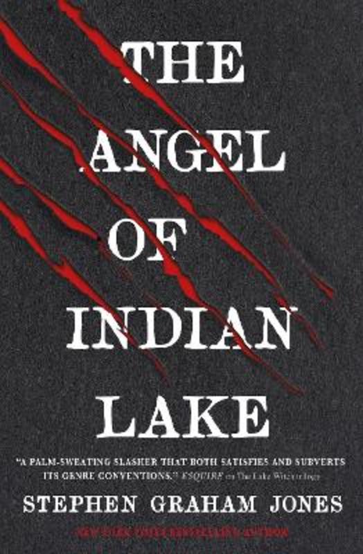 The Angel Of Indian Lake By Stephen Graham Jones 