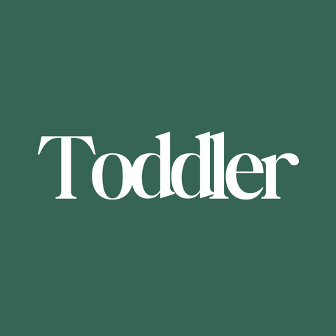 Toddler Toys