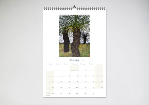 Julie Hickson 2025 Wall Calendar