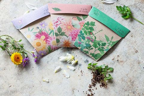 Garden Herbs Gift Card