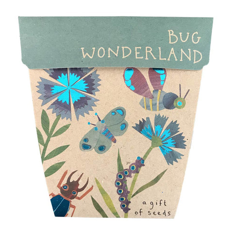 Bug Wonderland