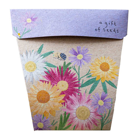 Native Daisies Gift Card