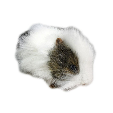 Gray & White Guinea Pig Gray/White