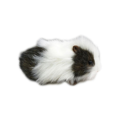 Gray & White Guinea Pig Gray/White