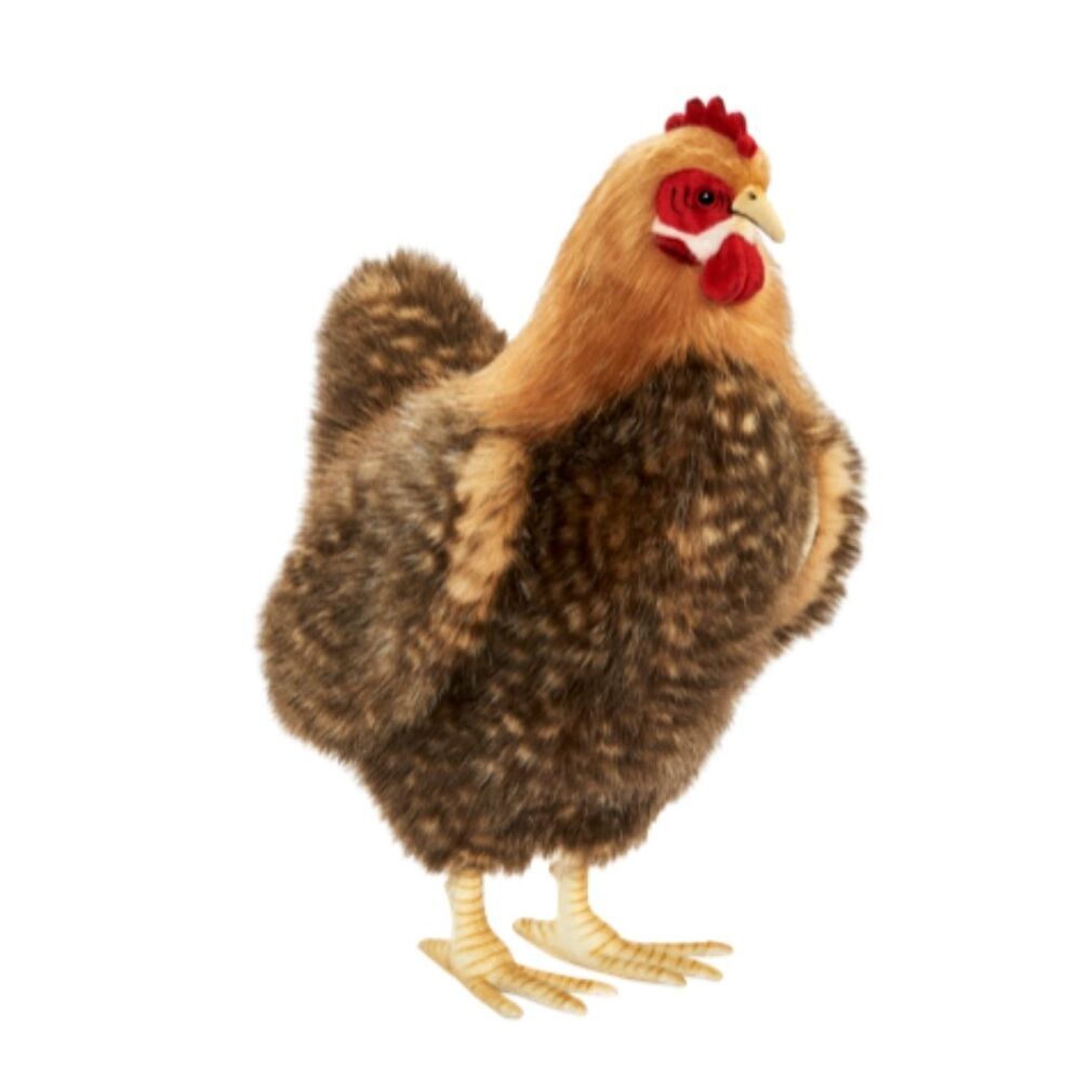 Beige Hen from Hansa Unique gifts and lifestyle enhancing accessories Harry Hartog Harry Hartog Bookseller