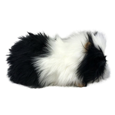 Black & White Guinea Pig