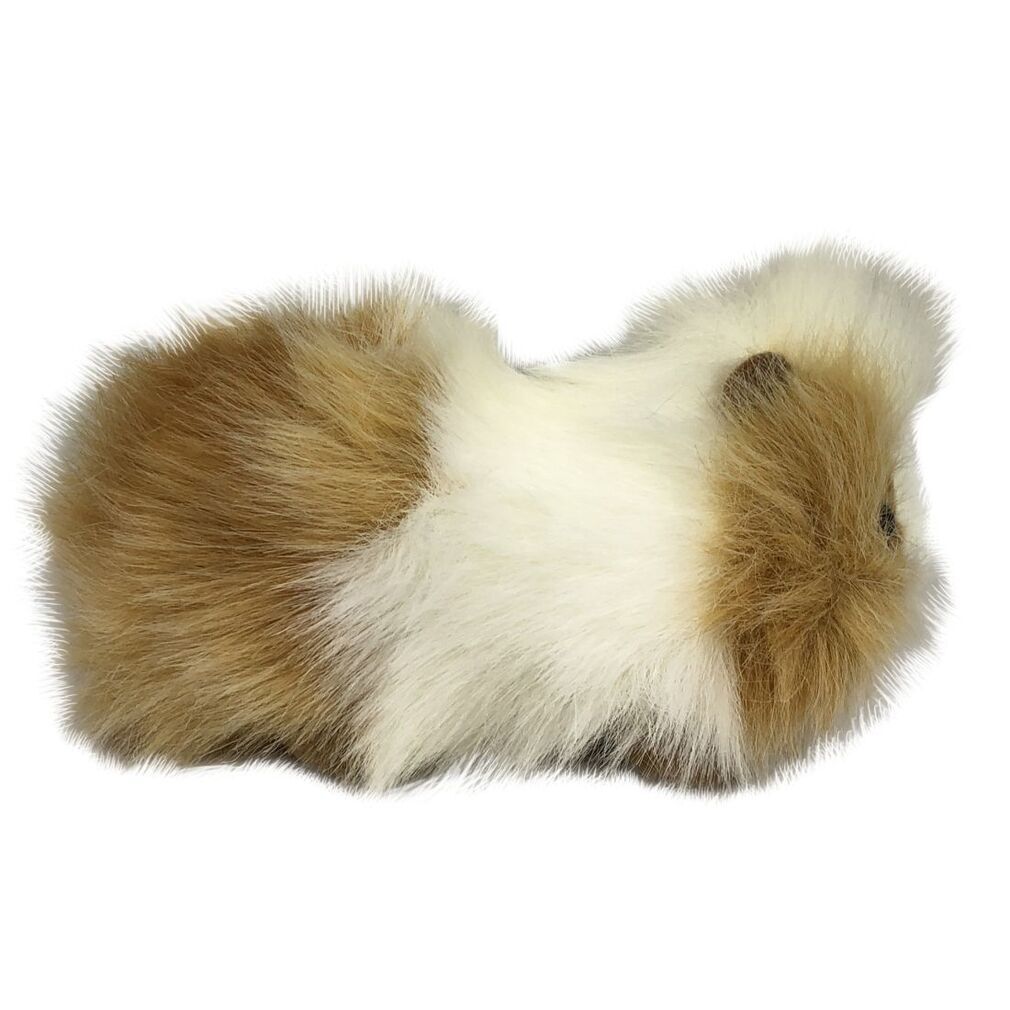 Hansa sales guinea pig