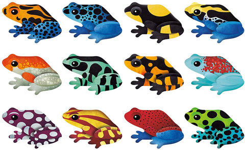 Memory Match Shaped Frogs