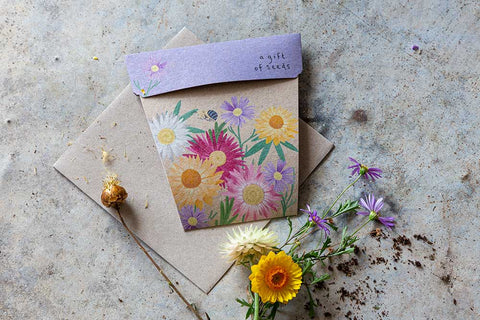 Native Daisies Gift Card