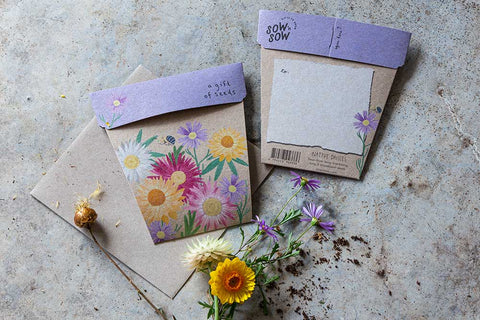 Native Daisies Gift Card