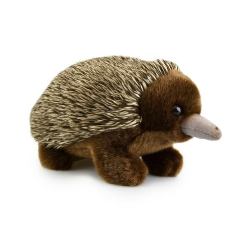 Echidna Plush