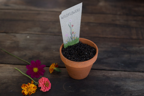 Wildflowers Gift Card