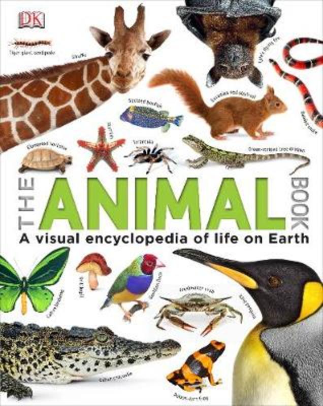 Our World in Pictures The Animal Book by DK | 9781409323495 | Harry Hartog