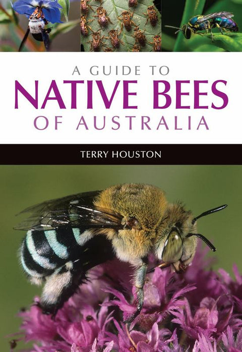 A Guide to Native Bees of Australia by Dr Terry Houston - 9781486304066